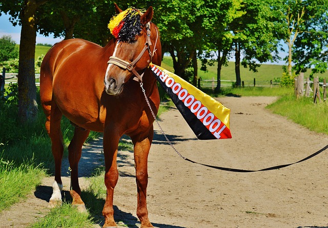 认识伊万-马耶：来自法国的19岁国米一线队新人